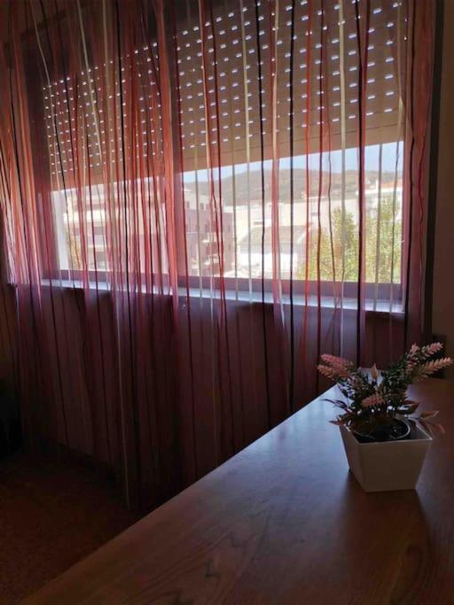 Apartmán Cardoso House Vpa Vila Praia de Âncora Exteriér fotografie